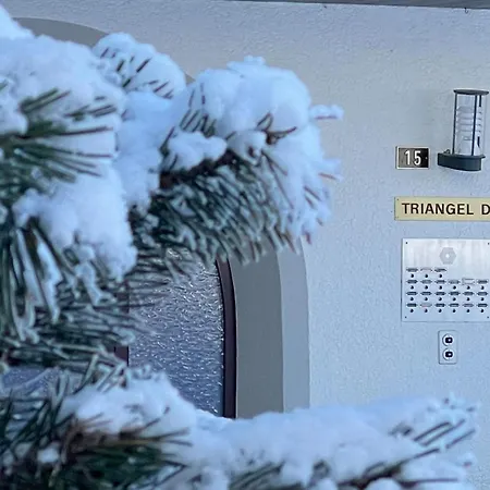 Flat For Skiing Couples Triangel D - Lenzerheide * باربان